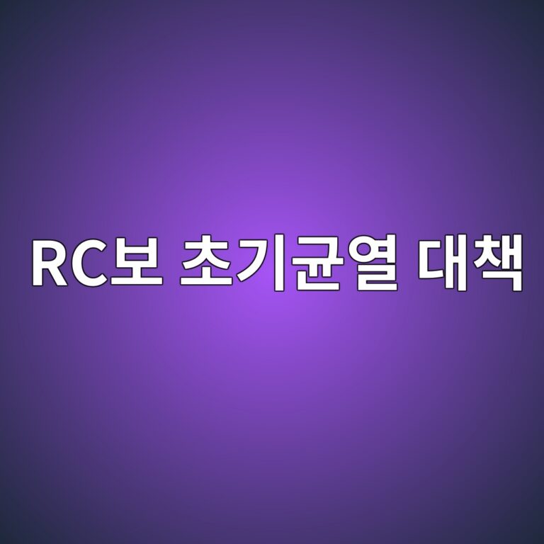 RC보 초기균열 대책 8 rcebb3b4 ecb488eab8b0eab7a0ec97b4 eb8c80ecb185 1786694464