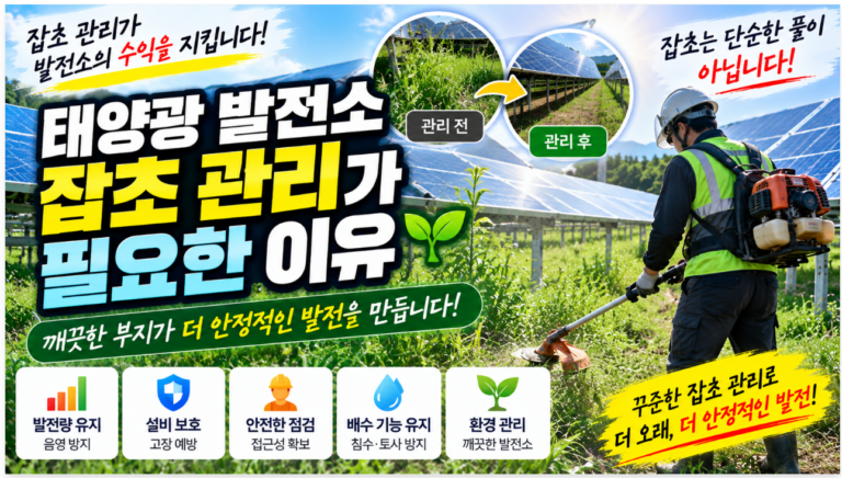 🌿 태양광 발전소 잡초 관리가 필요한 이유|발전량·안전·유지관리 경험으로 알아보기 1 태양광 발전소 잡초 관리가 필요한 이유